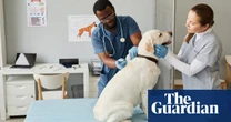 Hardwired to eat: what can our dogs teach us about obesity? – podcast