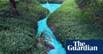 Melbourne creek turns bright blue after construction chemicals wash into waterway