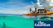 20 family nature holidays in the UK – from kayaking to stargazing and whale watching
