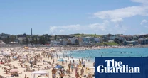 Trial to remove shark nets from three Sydney and Central Coast beaches a good first step, scientists say