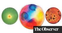 Mesmerising microbes: bacteria as you’ve never seen it before – in pictures