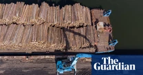 Sanctioned Russia and Belarusian wood being smuggled into UK, study suggests