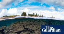 Norfolk Island’s unique corals under triple threat from disease, El Niño and now government-approved dredging
