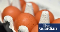 Warnings of imports of caged hen eggs as Ukraine and Poland become UK’s biggest suppliers