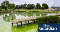 ‘It’s dying in front of our eyes’: how the UK’s largest lake became an ecological disaster