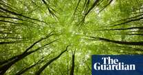 Which English arboreal project occupies 200 square miles? The Saturday quiz