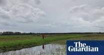 Eighty percent of England’s peatlands are dry and degraded, mapping shows