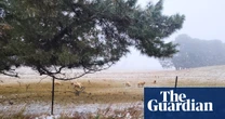 Snow flurries forecast across four states as cold weather fronts push through Australia’s south-east