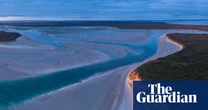 Labor greenlights contentious Robbins Island windfarm despite fears for endangered orange-bellied parrot