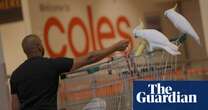 Mickey the cockatoo rescued after four weeks 'living on brioche' in Sydney supermarket – video