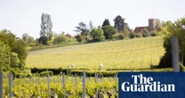 How an Essex valley became one of the UK’s most exciting new wine regions
