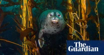 The hidden underwater eden of ‘California’s Galapagos’, where kelp, sea lions and giant bass reign