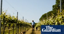 ‘We cannot do it the way our fathers did’: farmers across Europe struggle to adapt to the climate crisis