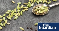 The cardamom conundrum: what’s the difference between green and black pods? | Kitchen aide