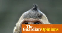 Why would we show an optical illusion to a monkey or a sparrow? To learn how they experience time, of course | Ishan Singhal
