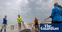 Experts baffled as rarely seen beaked whales involved in series of strandings