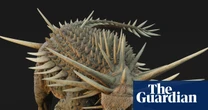 ‘Bristling with spikes’: oldest known ankylosaur fossil found in Morocco