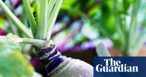Swedes deserve a moment in the sun: here’s how to grow them