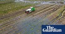 Disastrous fruit and vegetable crops must be ‘wake-up call’ for UK, say farmers