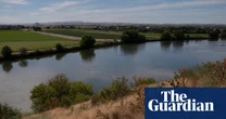 Trump pulls US from plan to recover salmon population, calling it ‘radical’