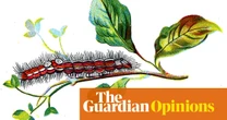 A hairy caterpillar: a ginger toupé, twitching cartoonishly | Helen Sullivan