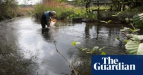 England’s rivers ‘under threat’ as water extraction surges to record levels