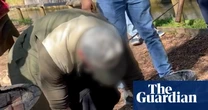 Trout farm in Cotswolds tourist hotspot accused of welfare abuses