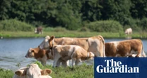 Farmers criticise plan that warns climate crisis will lead to food price shocks and shortages