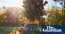 How to get your garden ready for autumn: 17 expert tips you can do now – and what to skip