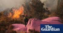 US wildfire suppressants rife with toxic heavy metals, study finds