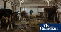 New bill could bail out US farmers ruined by ‘forever chemical’ pollution