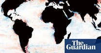 Planet’s darkening oceans pose threat to marine life, scientists say