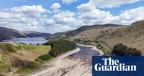 Hedgehogs, salmon and birds at risk after dry summer, says Natural England