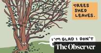 Simone Lia: Autumnal behaviour in nature and humans – cartoon