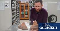 ‘It’s a history lesson’: fossil fish up to 16m years old found perfectly preserved in central NSW