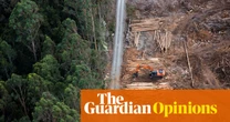 Tasmanian leaders struggle with a basic fact: environment laws should protect the environment | Adam Morton