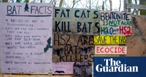 Wildlife charities urge Labour to scrap ‘licence to kill nature’ in planning bill
