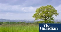‘Really special’: Farm near London to be rewilded to enable new housing in Essex