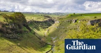Plan to restore nature in England by 2030 criticised as ‘completely insufficient’