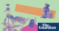 Buy small plants – and consider a ‘bulb lasagne’: how to give your garden a late-summer glow-up