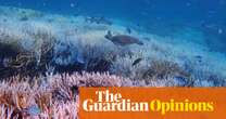 We can’t pretend we’re doing enough if we want to give the Great Barrier Reef a chance to survive | Adam Morton