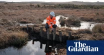 Floating spiders and insect-eating plants: leaky dams revive Dorset’s bogs
