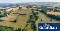 Thousands of trees planted in Devon to start creation of Celtic rainforest