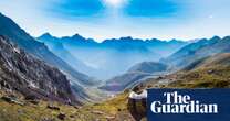 ‘Magical’: 17m insects fly each year through narrow pass in Pyrenees, say scientists