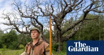 ‘Most famous tree in the world’: Sherwood Forest’s 1,000-year-old Major oak dies