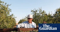 Palestinian food brand says UK sales up 50% as shoppers show solidarity