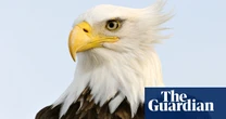 Dangerous birds, headless statues and rescues from space – take the Thursday quiz