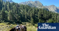 A family holiday on the hoof: donkey trekking in the Spanish Pyrenees