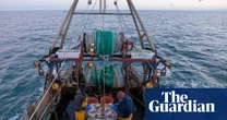 UK-EU talks ‘down to the wire’ as fishing and youth mobility hold up deal