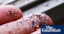 Humans inhale as much as 68,000 microplastic particles daily, study finds
